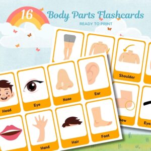 16 Interactive Human Body Parts Flashcards (Malay, English)